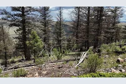 1396 Middle Fork Vista, Fairplay, CO 80440 - Photo 11