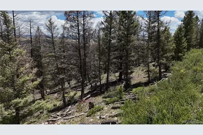 1396 Middle Fork Vista, Fairplay, CO 80440 - Photo 13