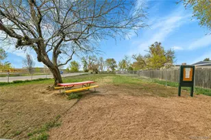 8430 Madison Way, Denver, CO 80229 - Photo 19