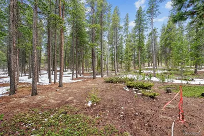 Rock Lake Road, Ward, CO 80481 - Photo 3