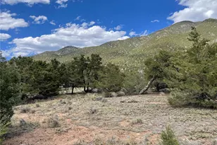 4303 Fallen Tree, Crestone, CO 81131 - Photo 1