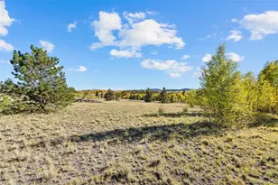 1404 Buffalo Ridge Rd, Como, CO 80432 - Photo 49