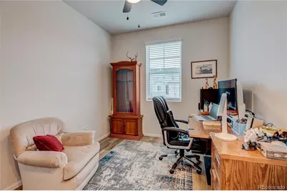 361 N Edge Cliff Street, Castle Rock, CO 80104 - Photo 21