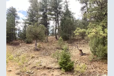 1420 Coyote Run, Cotopaxi, CO 81223 - Photo 35