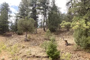 1420 Coyote Run, Cotopaxi, CO 81223 - Photo 35