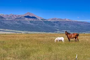 75 Muirfield Dr, Westcliffe, CO 81252 - Photo 37