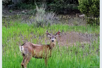 406 Riata Drive, Trinidad, CO 81082 - Photo 9