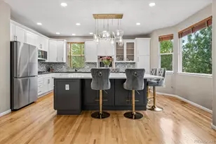 10835 Hickory Ridge Ln, Highlands Ranch, CO 80126 - Photo 5