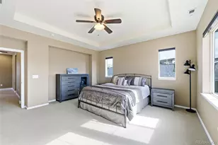 156 Dunsinane Ln, Castle Rock, CO 80104 - Photo 27