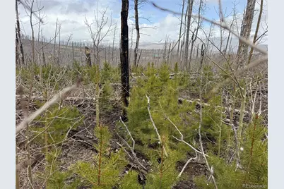 Lot 1960 Hilda Lane, Fort Garland, CO 81133 - Photo 7