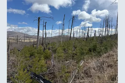 Lot 1960 Hilda Lane, Fort Garland, CO 81133 - Photo 1