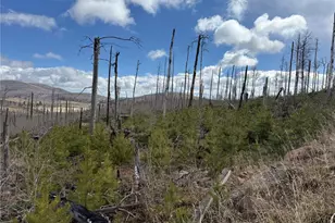 Lot 1960 Hilda Ln, Fort Garland, CO 81133 - Photo 1