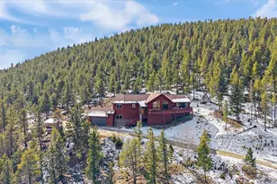 48 High View Ln, Bailey, CO 80421 - Photo 37