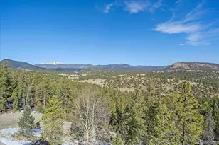 48 High View Ln, Bailey, CO 80421 - Photo 29
