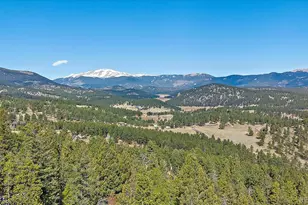 48 High View Ln, Bailey, CO 80421 - Photo 31