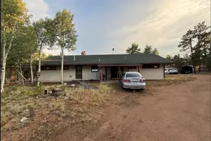 98 Two Bits St, Bailey, CO 80241 - Photo 1