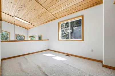 7101 County Road 43, Bailey, CO 80421 - Photo 15