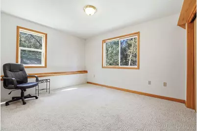 7101 County Road 43, Bailey, CO 80421 - Photo 17