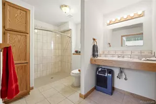 7101 Co Rd 43, Bailey, CO 80421 - Photo 21