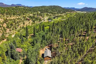 7101 Co Rd 43, Bailey, CO 80421 - Photo 29