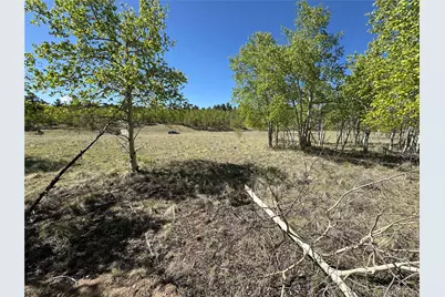 275 Oxen Court, Hartsel, CO 80449 - Photo 11