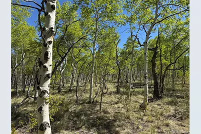 275 Oxen Court, Hartsel, CO 80449 - Photo 1