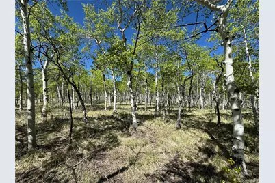 275 Oxen Court, Hartsel, CO 80449 - Photo 5