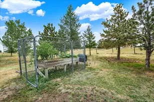 43120 London Dr, Parker, CO 80138 - Photo 31