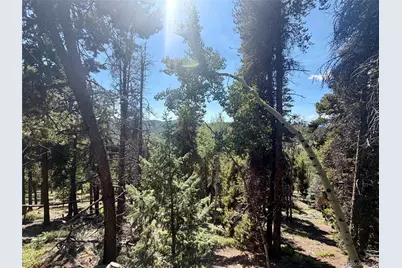 0 Lodgepole Circle, Evergreen, CO 80439 - Photo 11