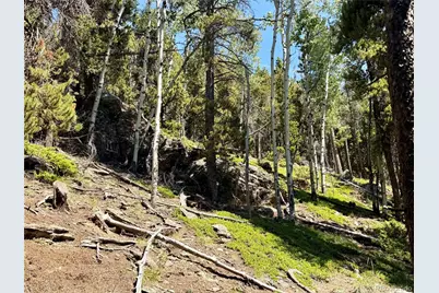 0 Lodgepole Circle, Evergreen, CO 80439 - Photo 17