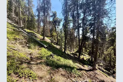 0 Lodgepole Circle, Evergreen, CO 80439 - Photo 9