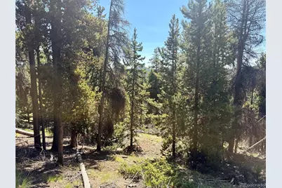 0 Lodgepole Circle, Evergreen, CO 80439 - Photo 5
