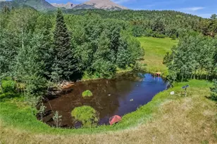 723 Chalice Dr, Westcliffe, CO 81252 - Photo 9