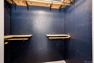 1482 Nemrick Pl, Castle Rock, CO 80109 - Photo 23