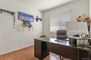 3921 John Ct, Castle Rock, CO 80104 - Photo 21