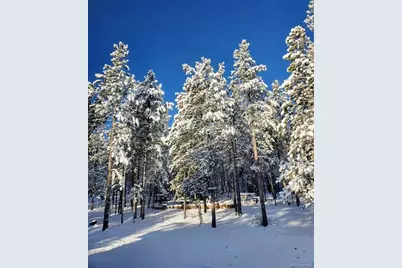 388 Sequoia Drive, Twin Lakes, CO 81251 - Photo 35