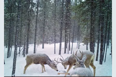 388 Sequoia Drive, Twin Lakes, CO 81251 - Photo 5