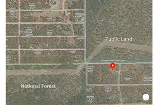 388 Sequoia Dr, Twin Lakes, CO 81251 - Photo 43