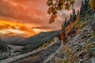 388 Sequoia Drive, Twin Lakes, CO 81251 - Photo 41