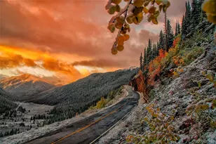 388 Sequoia Dr, Twin Lakes, CO 81251 - Photo 41