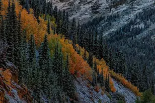 388 Sequoia Dr, Twin Lakes, CO 81251 - Photo 49