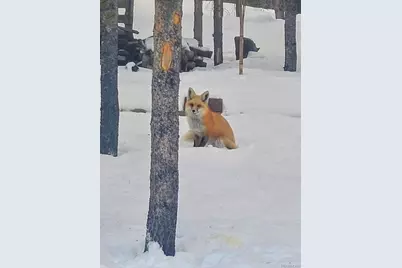 388 Sequoia Drive, Twin Lakes, CO 81251 - Photo 33