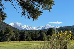 1638 Co Rd 46, Howard, CO 81233 - Photo 49