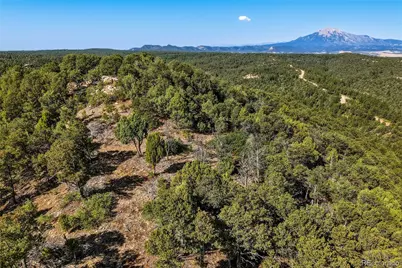 93 Blackhawk Ranch, Walsenburg, CO 81089 - Photo 1