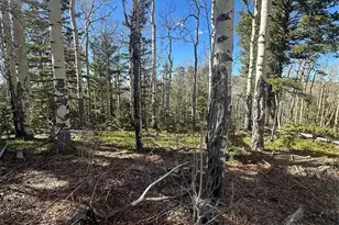 Lot 6744 Starkweather Rd, San Luis, CO 81152 - Photo 1