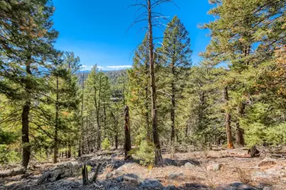Elsie Road, Conifer, CO 80433 - Photo 15