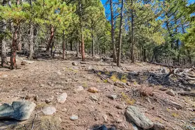 Elsie Road, Conifer, CO 80433 - Photo 7