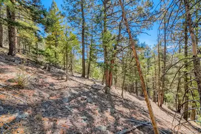 Elsie Road, Conifer, CO 80433 - Photo 23