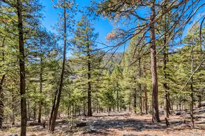 Elsie Road, Conifer, CO 80433 - Photo 11