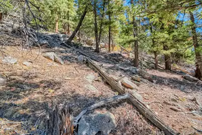 Elsie Road, Conifer, CO 80433 - Photo 17